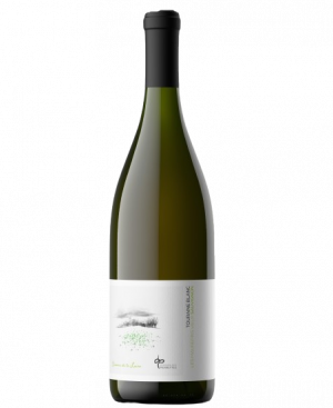 Chemin de Loire - La Moine