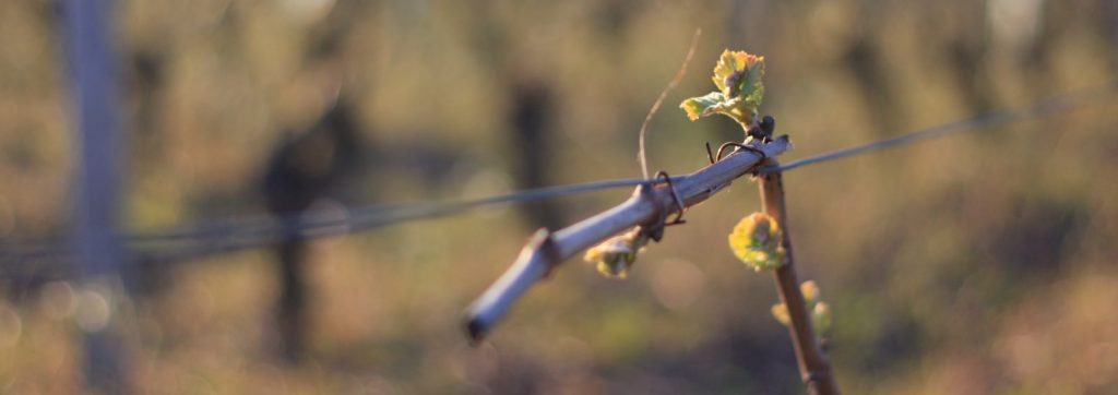 Portes ouvertes 2022